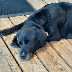 Meet your Posher, Annette